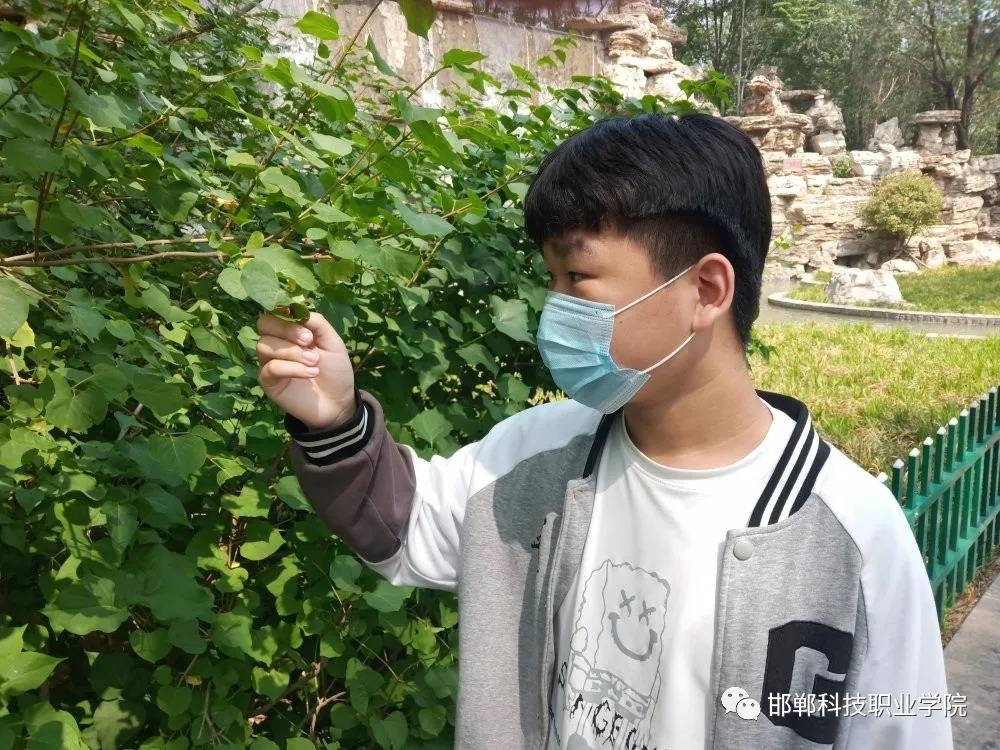 162270631328335101125621489697.jpg 微信图片_20210603153336.jpg